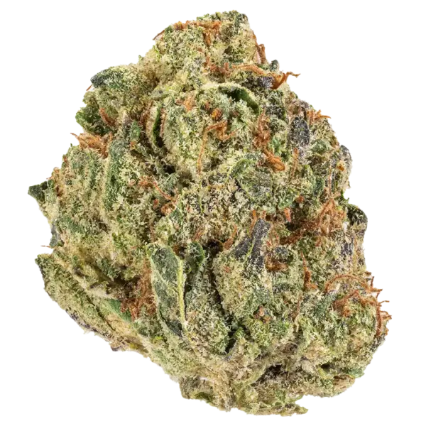 Lemon Cherry Haze- Sativa
