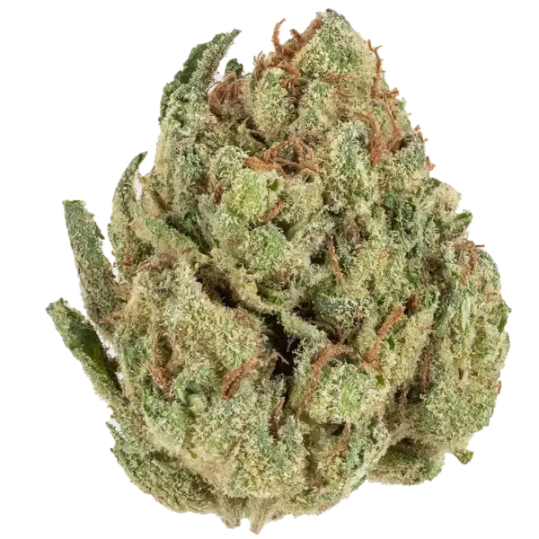 Lemon Cherry Haze- Sativa - Image 2